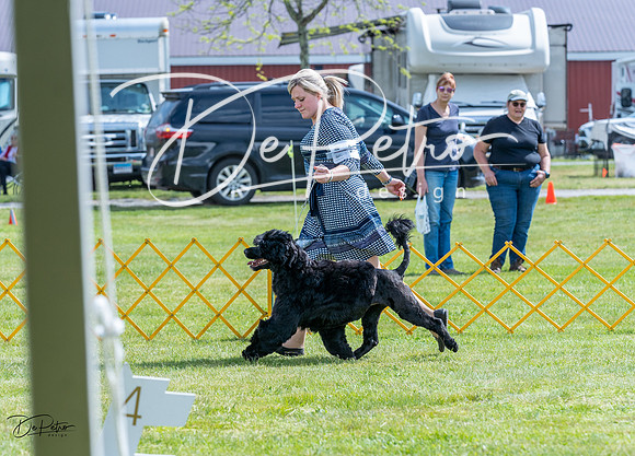 20230512-DSC05207