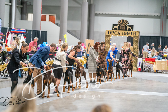 20260926-DSC04239