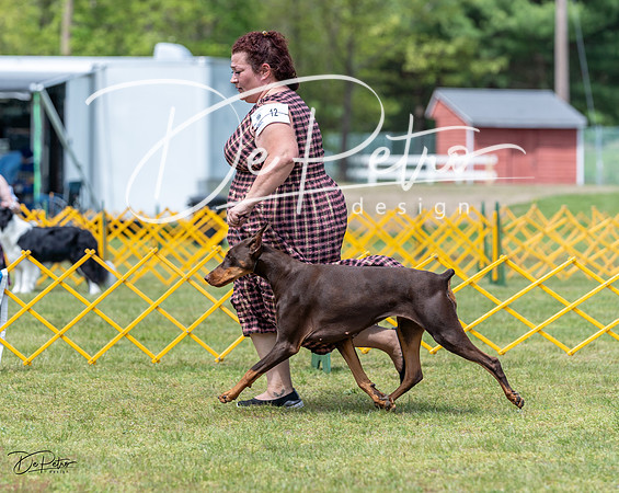20230513-DSC08555