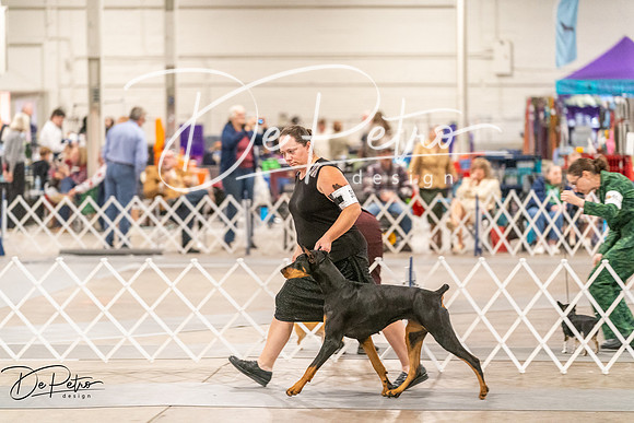 20261024-DSC00715