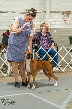 20261023-DSC04974
