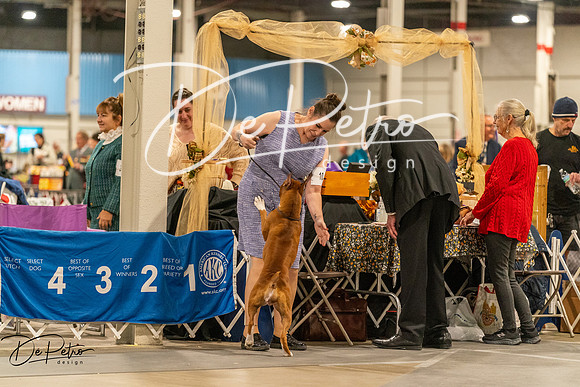 20261023-DSC05316