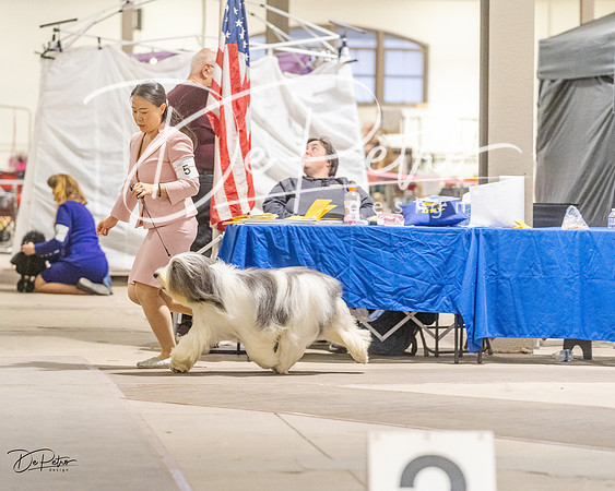 20230401-DSC07944