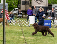 20230427-DSC07231