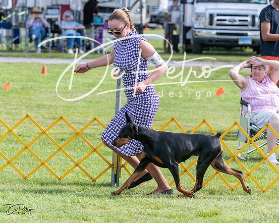 20230513-DSC01065