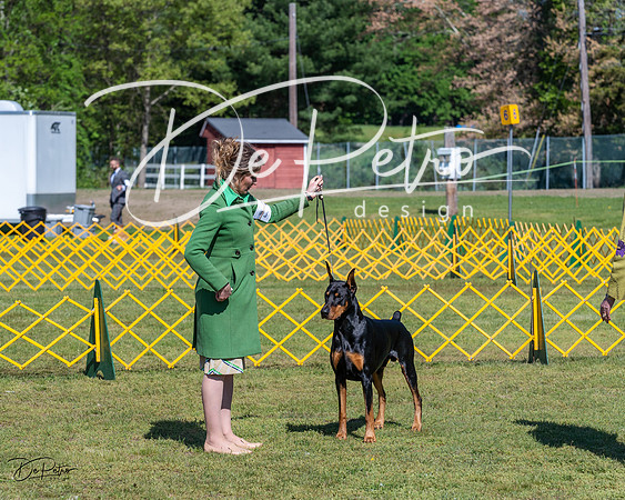 20230514-DSC03284