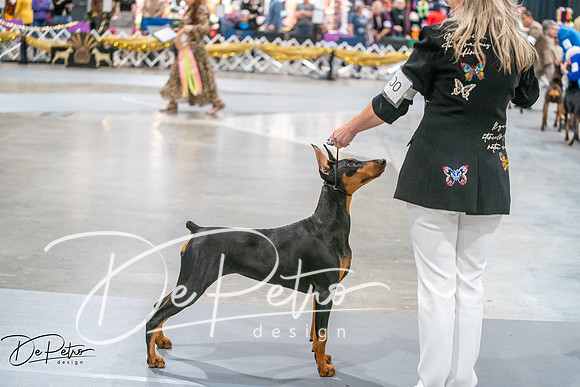 20260926-DSC03960