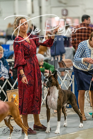 20261023-DSC05511