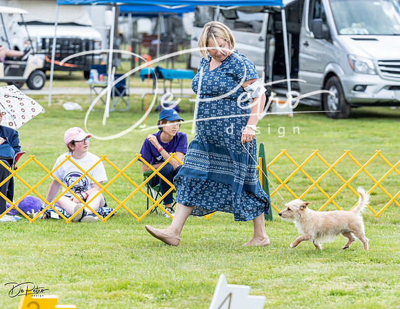 20230512-DSC03835