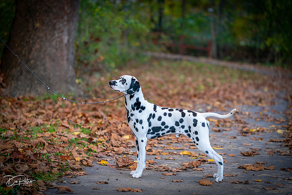 20261017-DSC09206