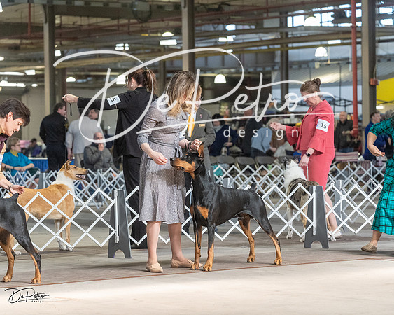 20230402-DSC09294