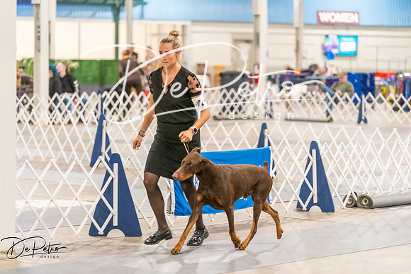 20261024-DSC00628