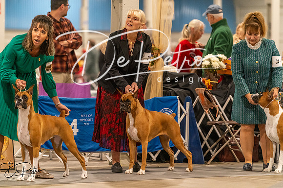 20261023-DSC05494