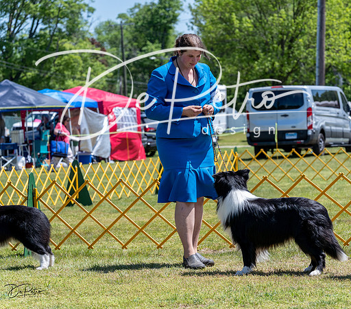 20230514-DSC04811