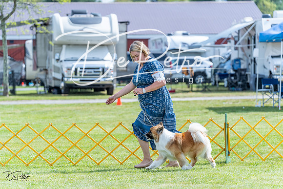 20230512-DSC05470