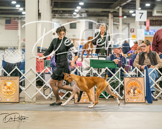20261022-DSC01759