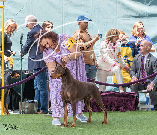 20230509-DSC01224