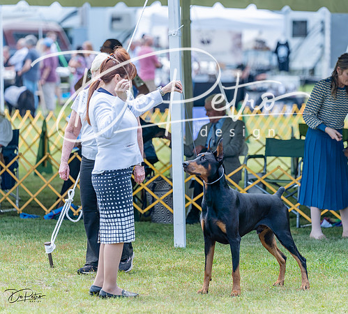 20230513-DSC08847