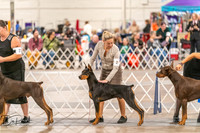 20261024-DSC00587