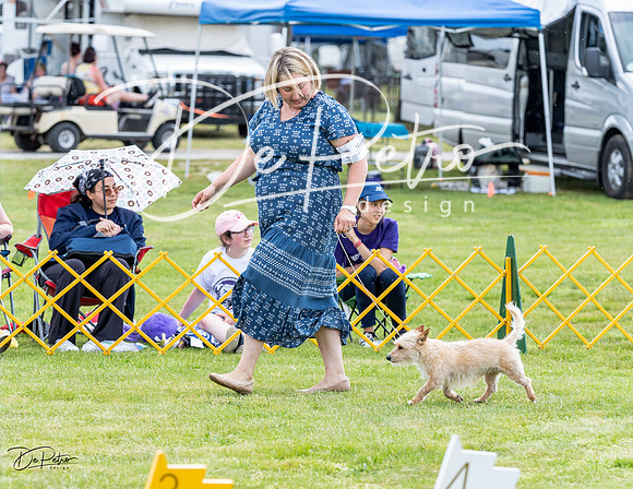 20230512-DSC03839