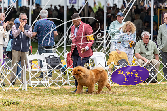 20220621-DSC05593