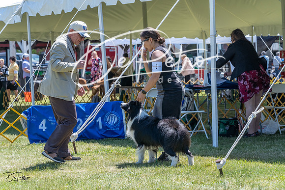 20230514-DSC04911
