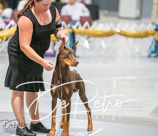 20260926-DSC04067