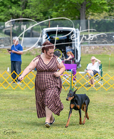 20230513-DSC08441