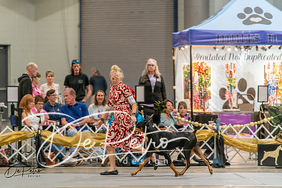 20260927-DSC05602