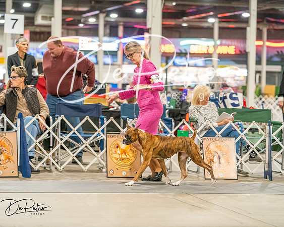 20261022-DSC01726