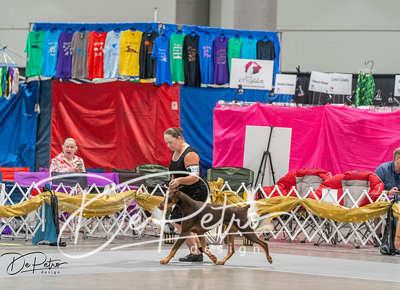 20260926-DSC04953