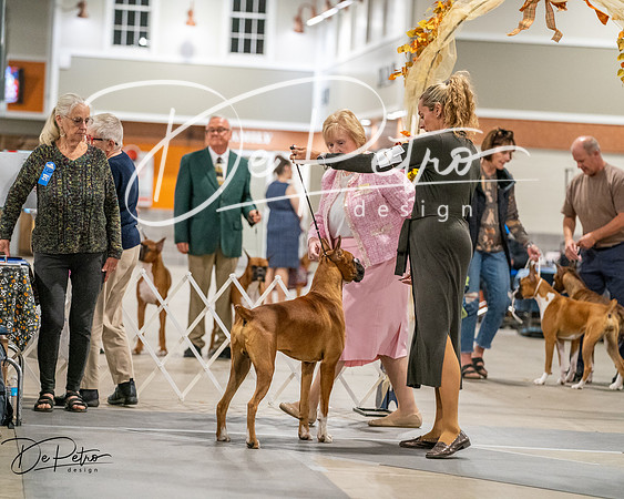 20261022-DSC02807