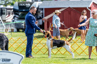 20230513-DSC09370