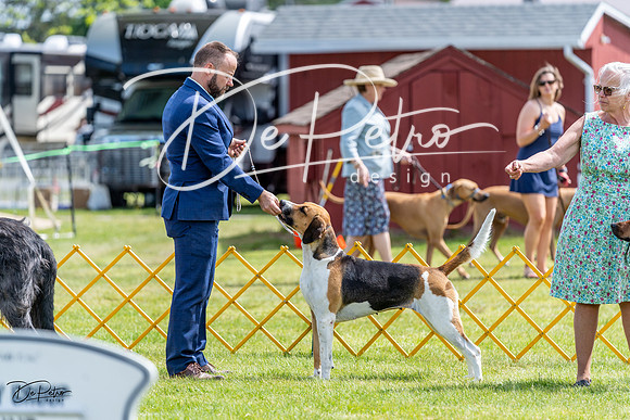 20230513-DSC09370