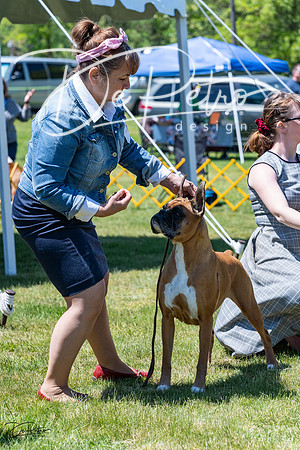 20230514-DSC04598