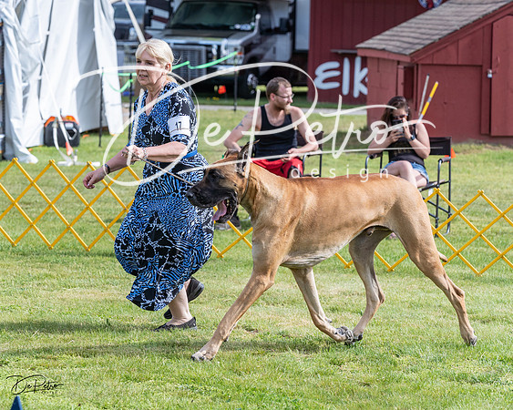 20230513-DSC00776