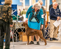 20261022-DSC01636