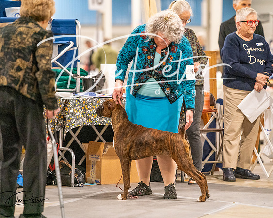 20261022-DSC01636