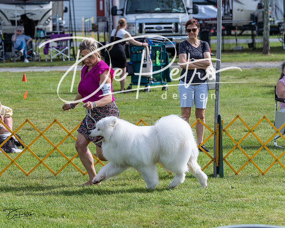20230513-DSC00852