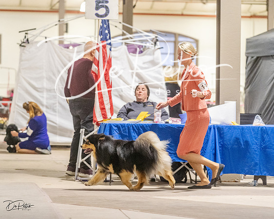 20230401-DSC07932