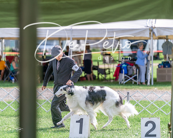 20240815-DSC06817