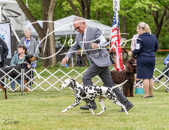 20230427-DSC07303