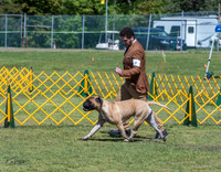 20230514-DSC03609