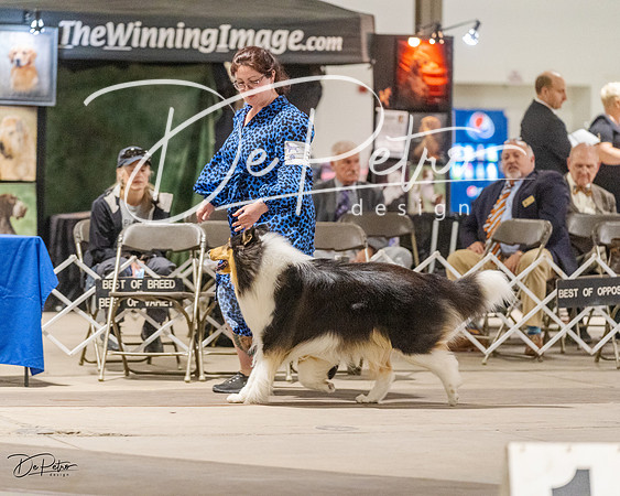 20230401-DSC07833