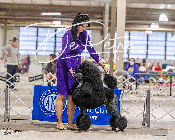 20230401-DSC07114