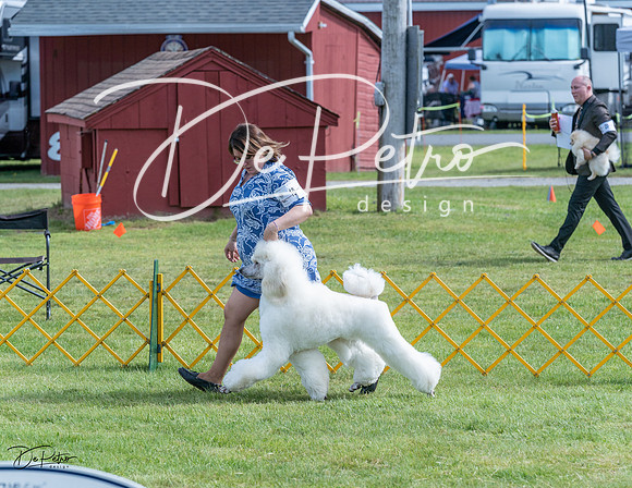 20230513-DSC00195