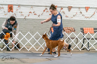 20261022-DSC00003