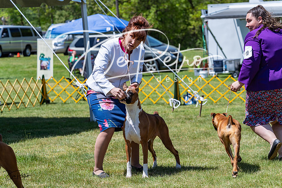 20230514-DSC04249