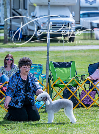 20230512-DSC04080