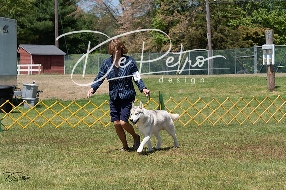20230514-DSC04631